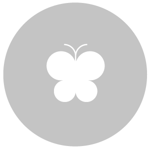 Icon Playground